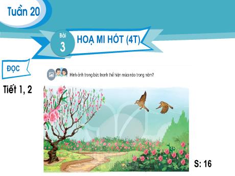 Bài giảng Tiếng Việt Lớp 2 (Đọc) Sách Kết nối tri thức - Tuần 20, Bài 3: Họa mi hót (1+2)