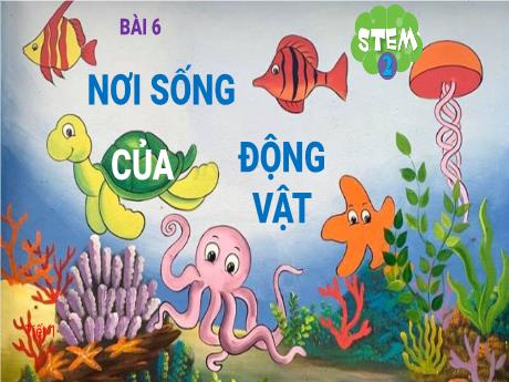 Bài giảng Tự nhiên xã hội Lớp 2 - Bài học Stem: Nơi sống của động vật