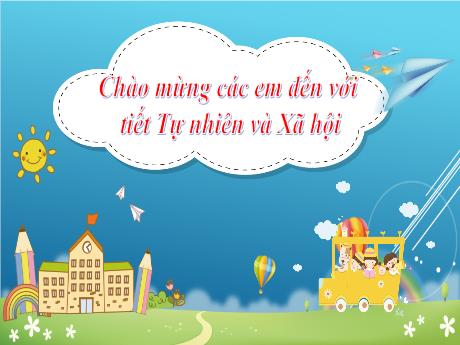 Bài giảng Tự nhiên xã hội Lớp 2 (Kết nối tri thức) - Bài 16: Thực vật sống ở đâu (Tiết 2)