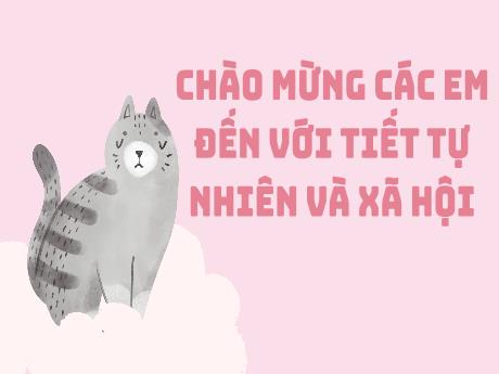 Bài giảng Tự nhiên xã hội Lớp 2 (Kết nối tri thức) - Bài 17: Động vật sống ở đâu?