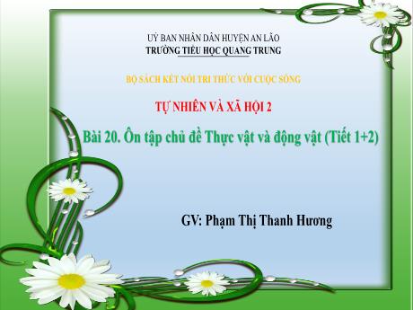 Bài giảng Tự nhiên xã hội Lớp 2 (Kết nối tri thức) - Bài 20: Ôn tập chủ đề Thực vật và động vật (Tiết 1+2) - Phạm Thị Thanh Hương