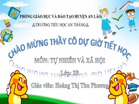 Bài giảng Tự nhiên xã hội Lớp 2 (Kết nối tri thức) - Bài 8: An toàn khi ở trường - Hoàng Thị Thu Phương