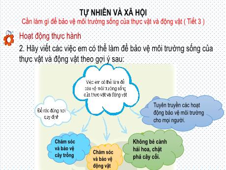 Bài giảng Tự nhiên xã hội Lớp 2 (Kết nối tri thức) - Bài: Cần làm gì để bảo vệ môi trường sống của thực vật và động vật? (Tiết 3)