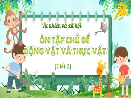 Bài giảng Tự nhiên xã hội Lớp 2 (Kết nối tri thức) - Bài: Ôn tập chủ đề động vật và thực vật (Tiết 2)