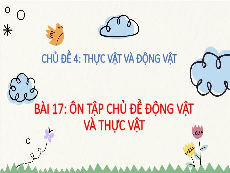 Bài giảng Tự nhiên xã hội Lớp 2 (Kết nối tri thức) - Chủ đề 4: Thực vật và động vật - Bài 17: Ôn tập chủ đề Động vật và thực vật