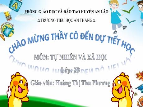 Bài giảng Tự nhiên xã hội Lớp 2 - Tuần 9, Bài: Luyện tập (Tiết 2) - Hoàng Thị Thu Phương